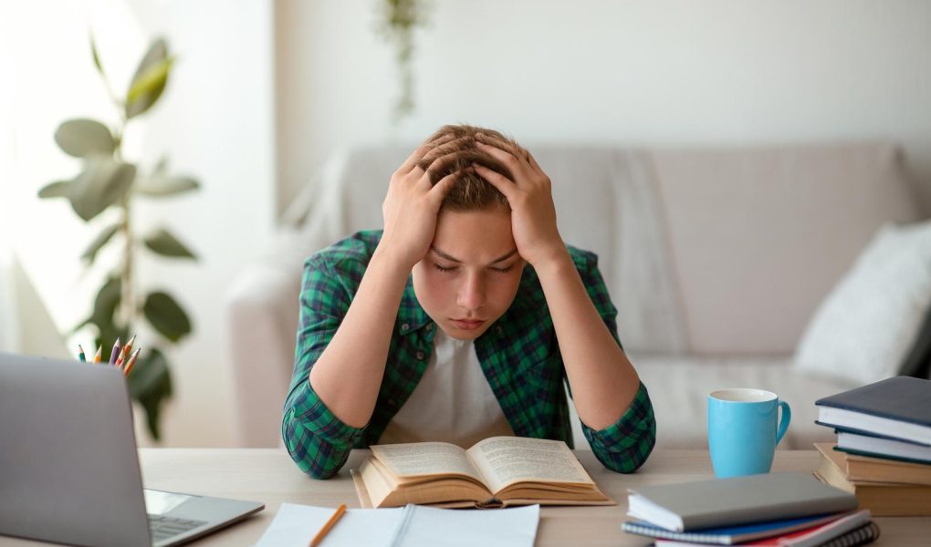 Scuole paritarie a Serracapriola